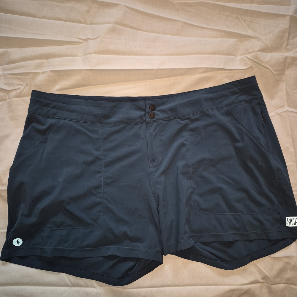 Smartwool Blue Shorts